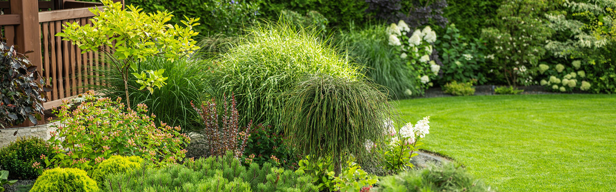 Garten - Michael Richlowski